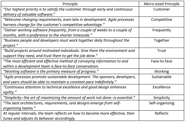 Micro-sized Principles