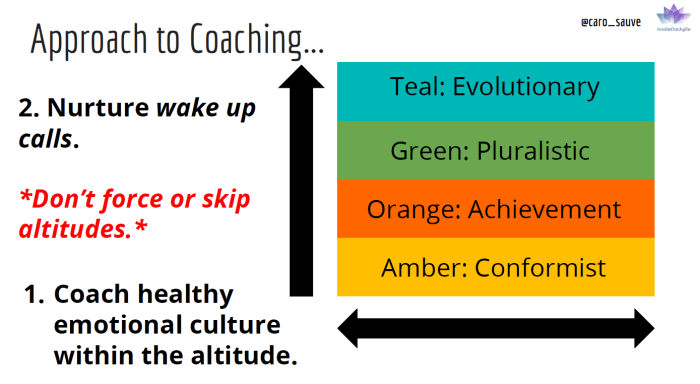 Coaching w Integral Altitudes